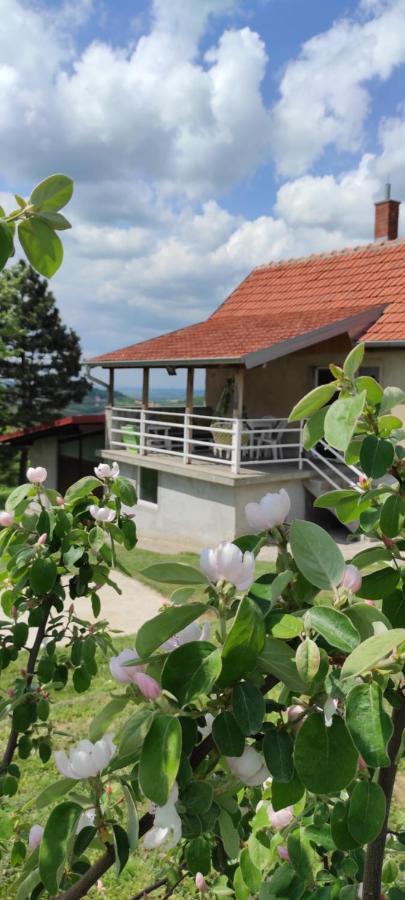 Vikend House Villa Ljig Eksteriør bilde